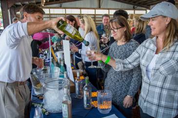 Deep Creek Lake Art & Wine Festival