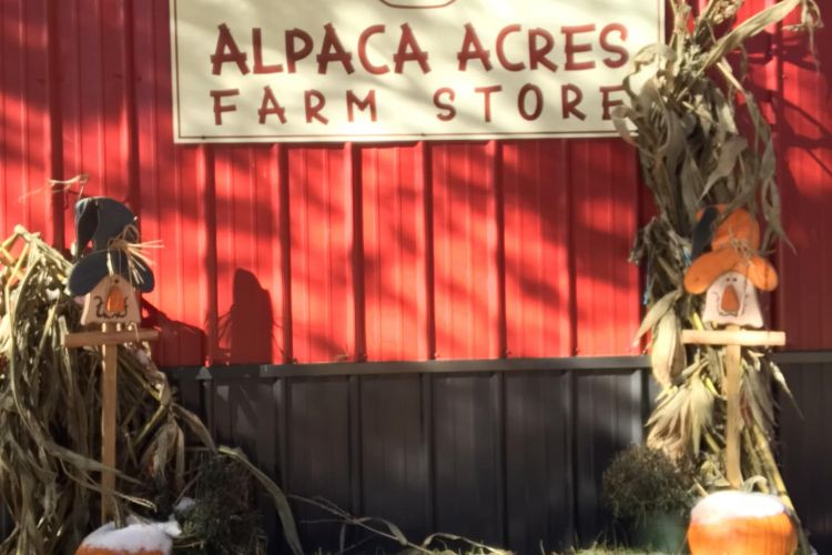 Alpaca Acres Farm Store