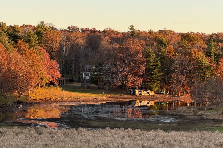 Bear and Grin Inn | Deep Creek Lake, Maryland