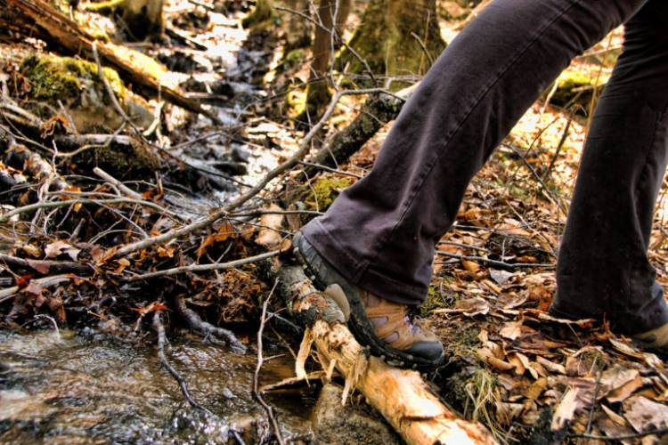 Hiking at Deep Creek Lake