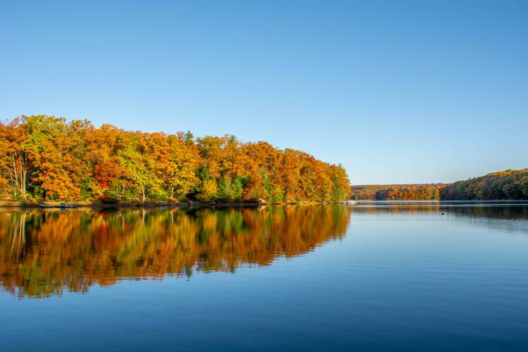 Fall Leaves at Deep Creek Lake