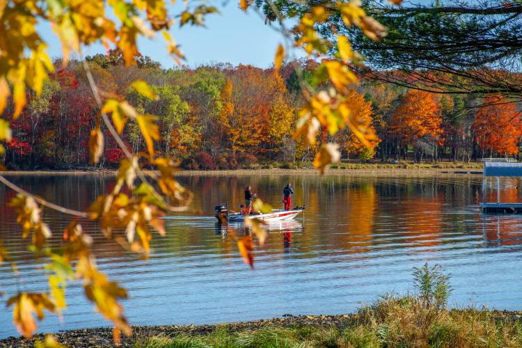 Autumn Glory Festival