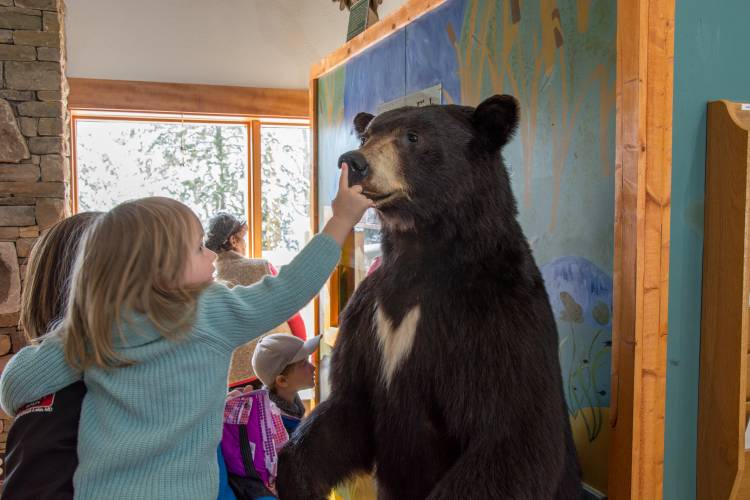 Deep Creek Lake Discovery Center Exhibit