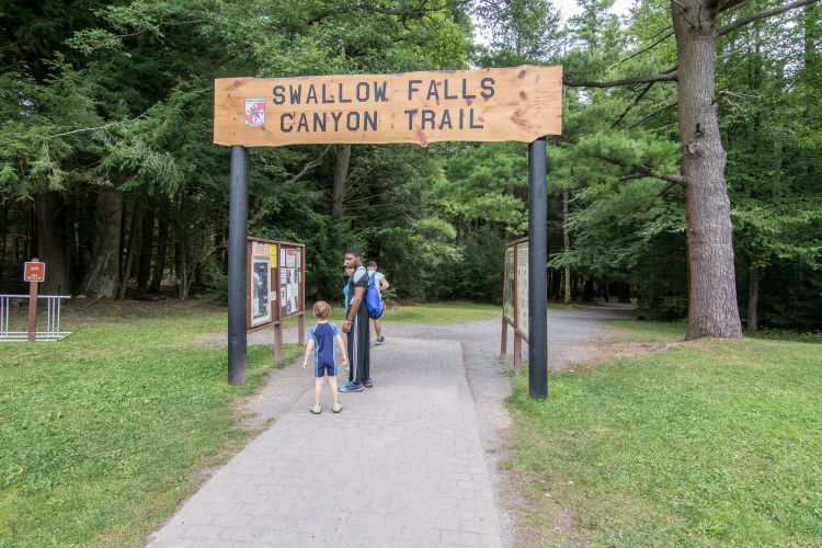 Hiking trail at Swallow Falls State Park