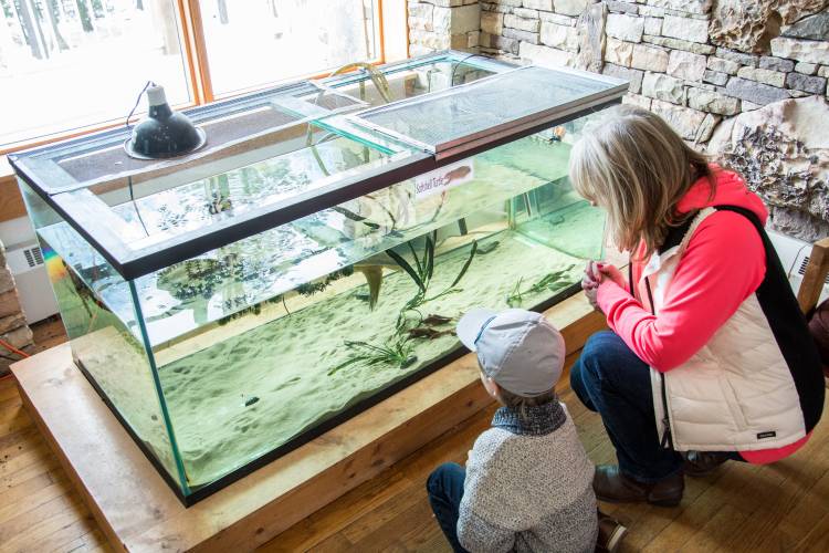 Discovery Center at Deep Creek Lake