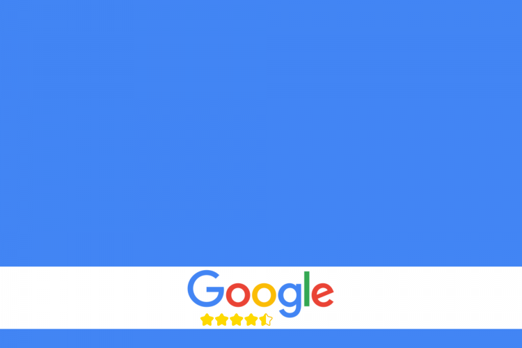 Google Review Logo