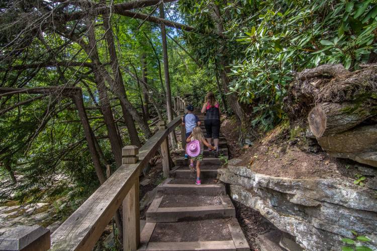 Walking Path at Swallow Falls State Park