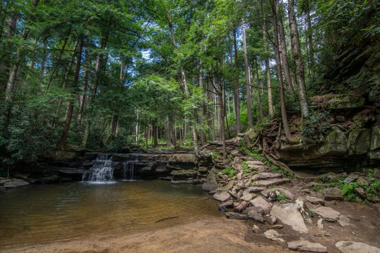 Small Waterfall at Swallow Falls State Park