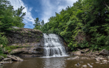 Muddy Creek Falls at Swallow Falls State Park